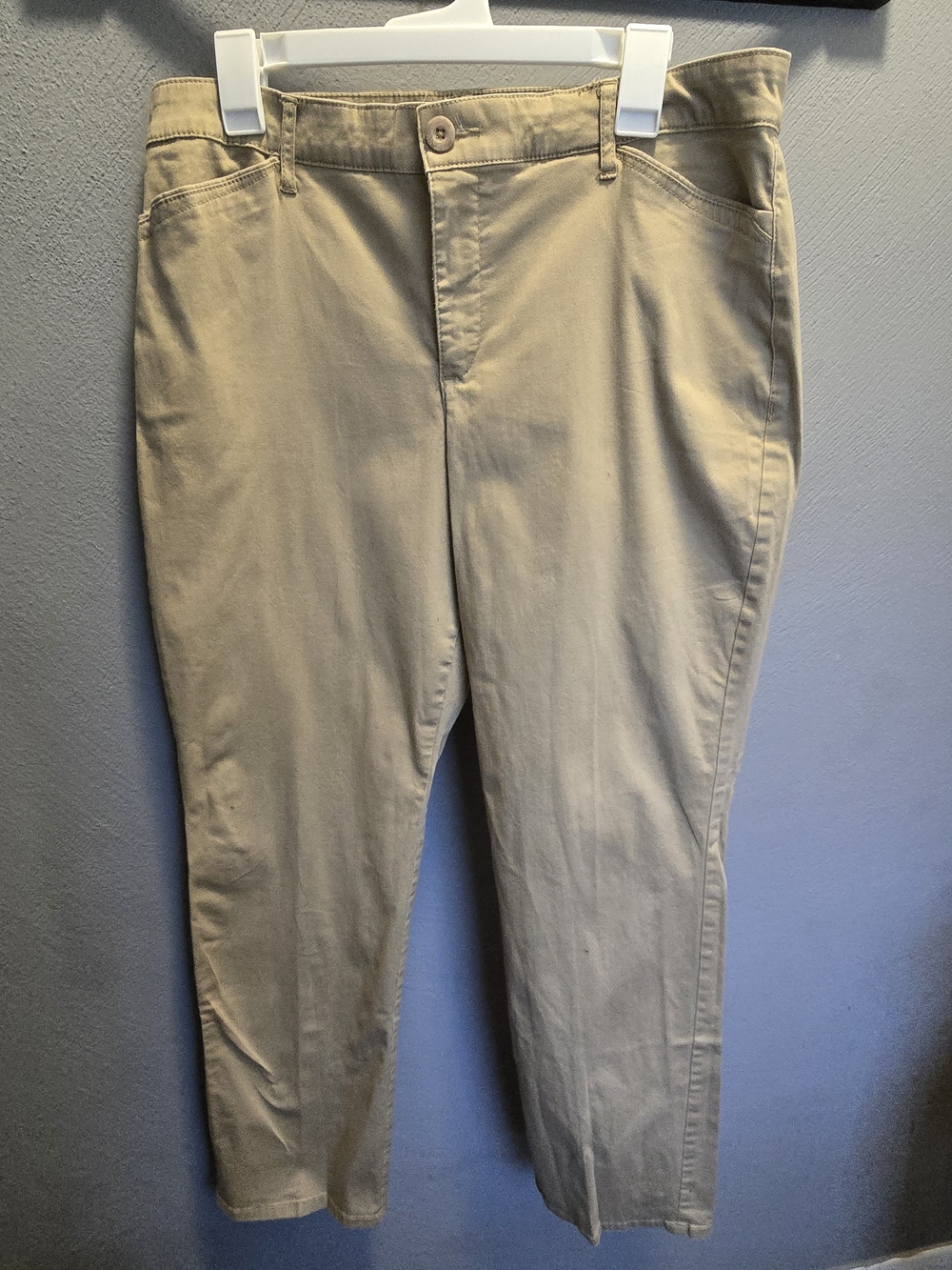 Gloria Vanderbilt Beige Cropped Straight Jeans